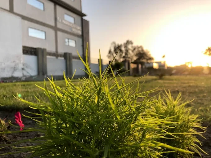 TN Pharmaceuticals plant grounds at sunset